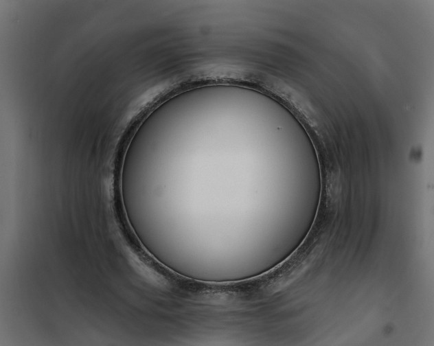 X0000102350629200808081155