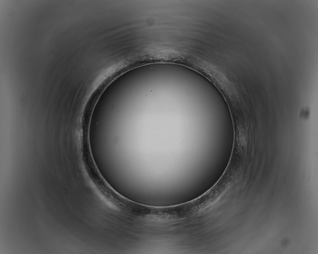 X0000102350630200808081155