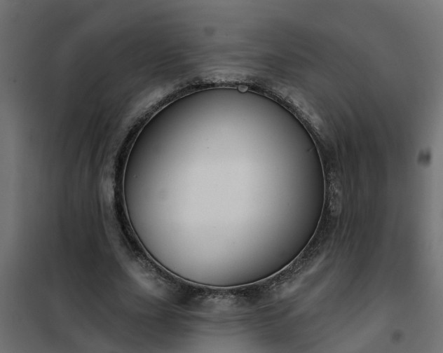 X0000102350631200808081155