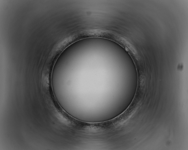 X0000102350633200808081155