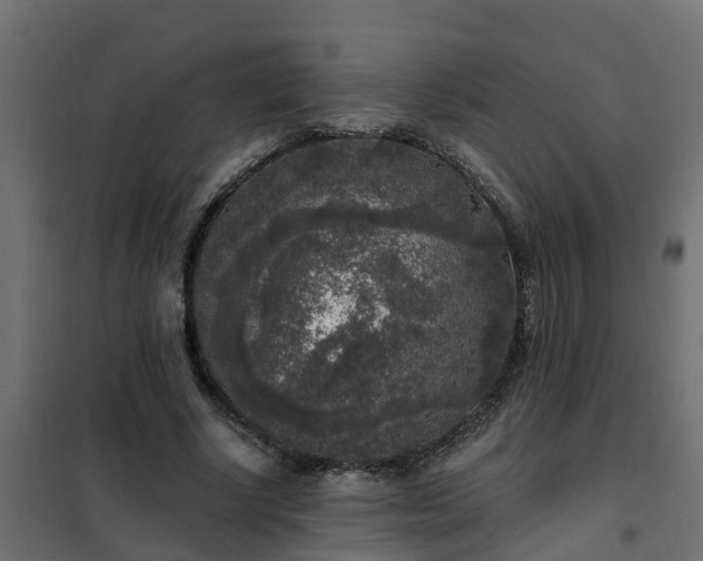 X0000102350634200808081155