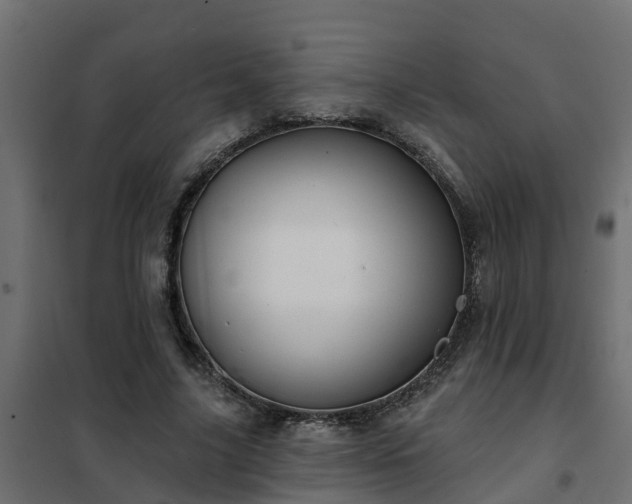 X0000102350635200808081155