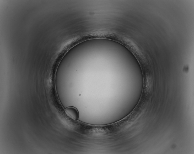 X0000102350636200808081155