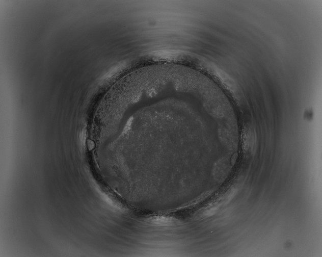 X0000102350637200808081155