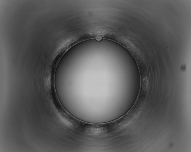 X0000102350638200808081155