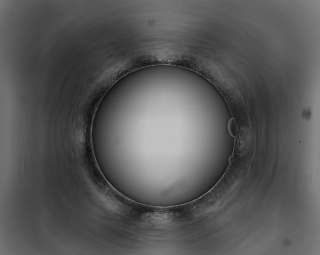 X0000102350639200808081155