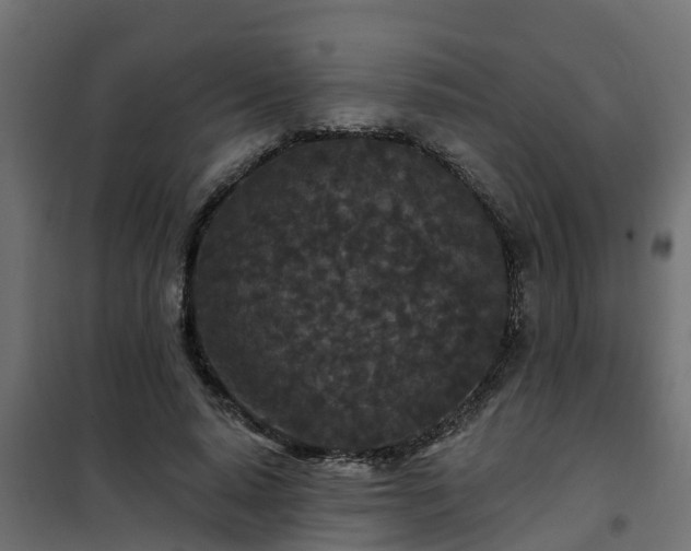 X0000102350640200808081155