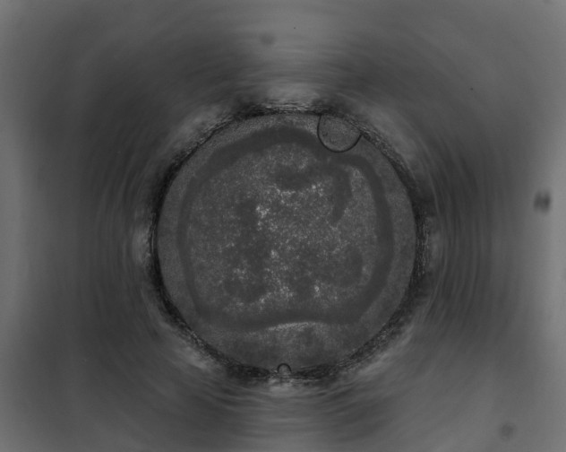 X0000102350641200808081155