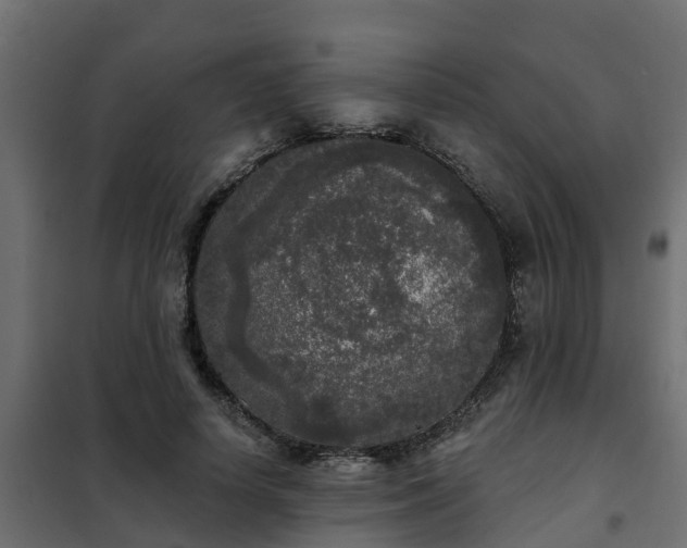 X0000102350642200808081155