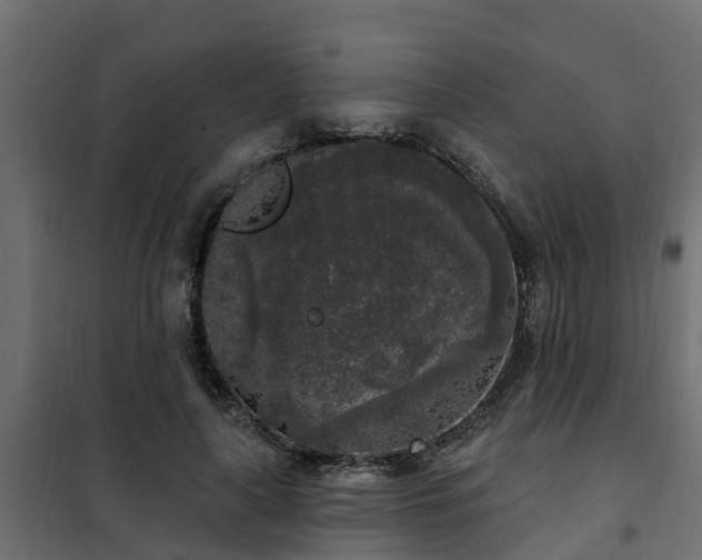 X0000102350643200808081155