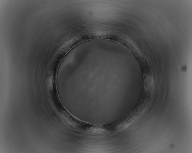 X0000102350644200808081155