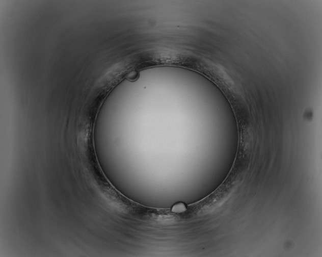 X0000102350645200808081155