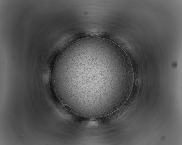 X0000102350647200808081155