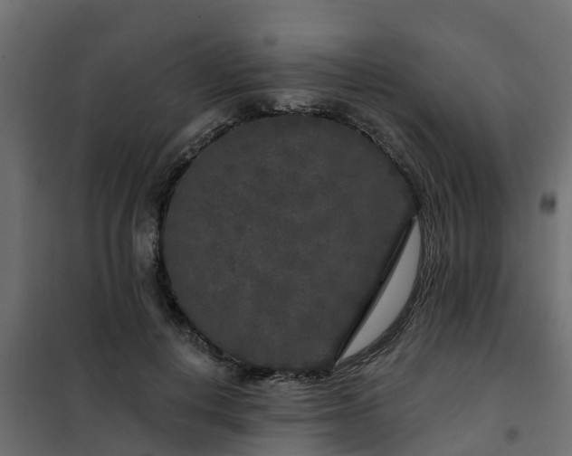 X0000102350648200808081155