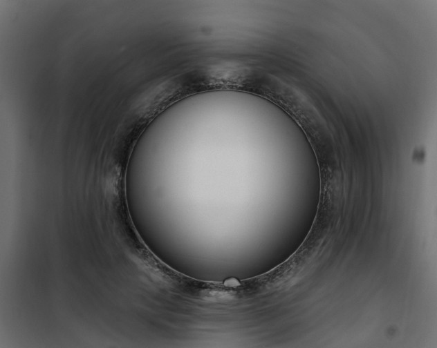 X0000102350649200808081155