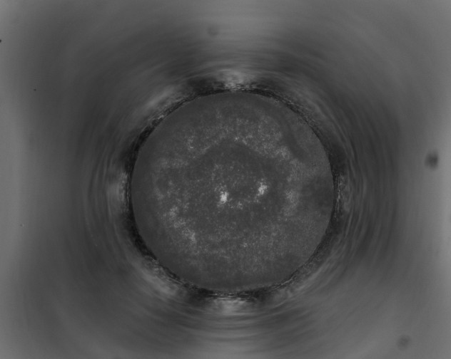 X0000102350650200808081155