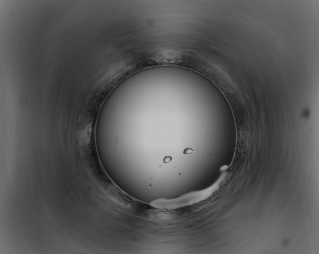 X0000102350652200808081155