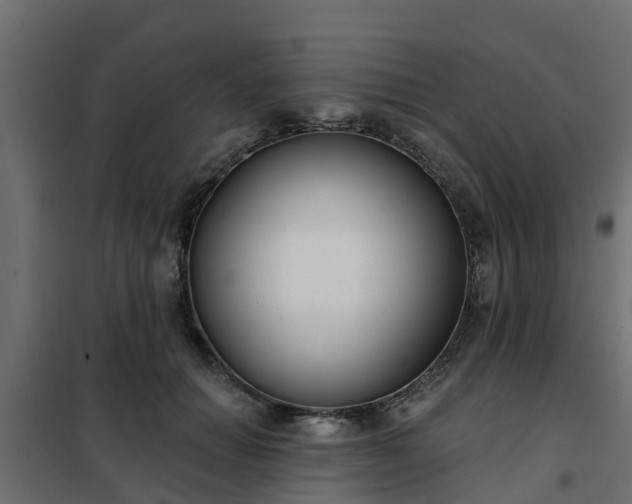 X0000102350654200808081155