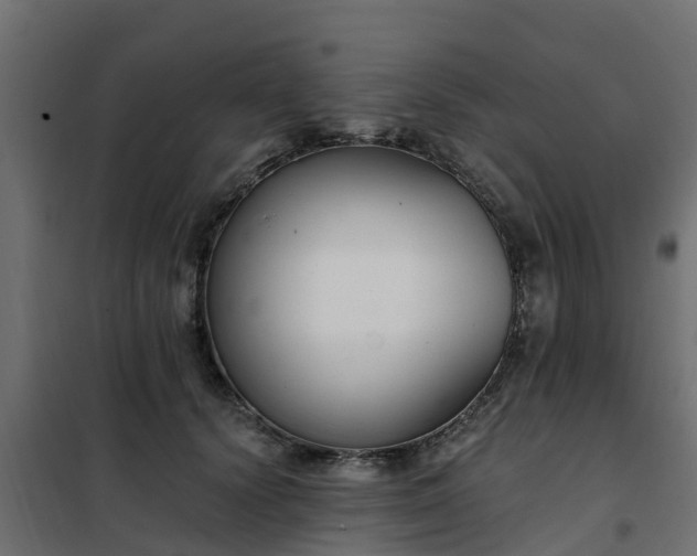 X0000102350656200808081155