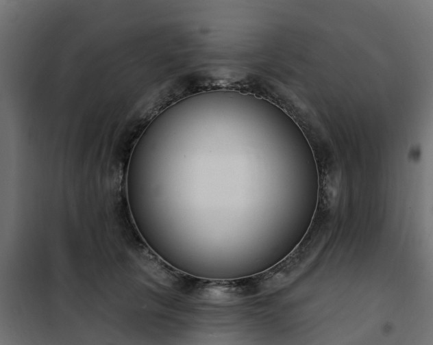 X0000102350657200808081155