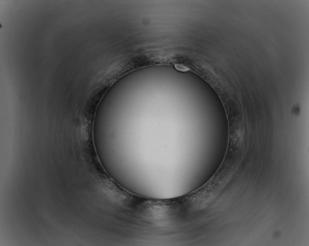 X0000102350658200808081156