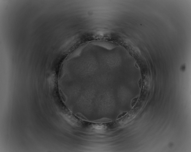 X0000102350659200808081156