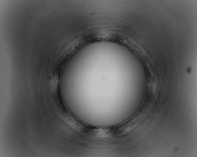 X0000102350660200808081156