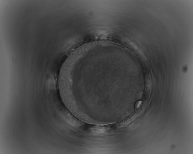 X0000102350661200808081156