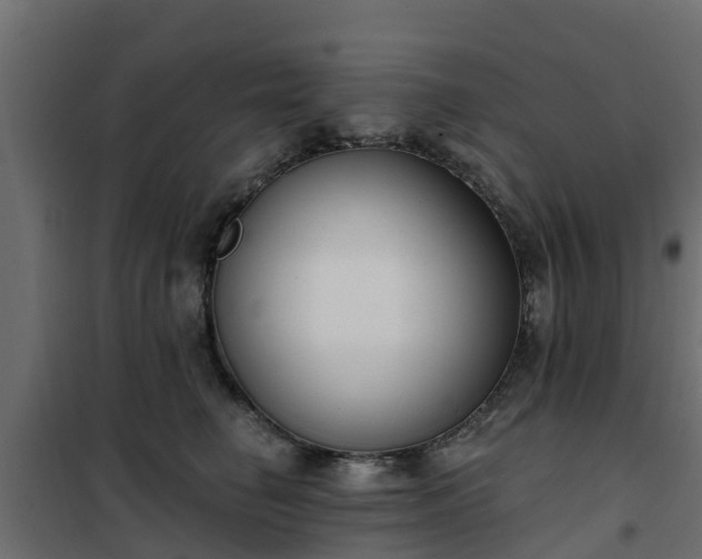 X0000102350662200808081156