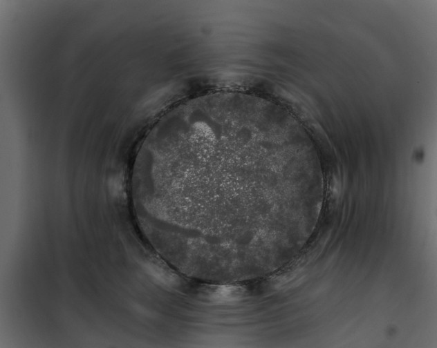 X0000102350663200808081156