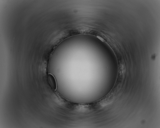 X0000102350664200808081156