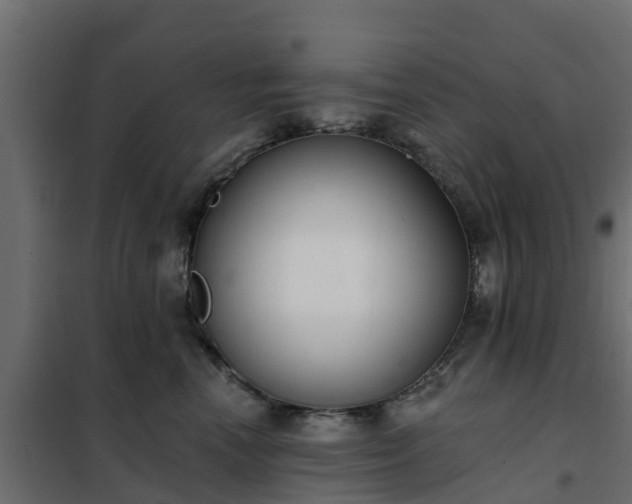 X0000102350666200808081156