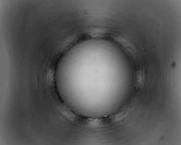 X0000102350667200808081156