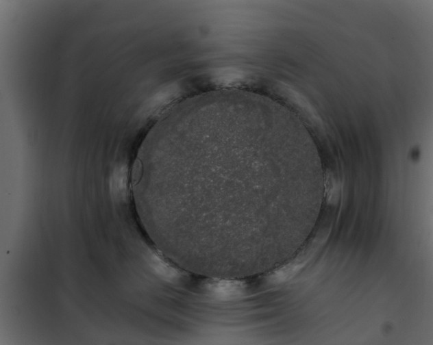 X0000102350670200808081156