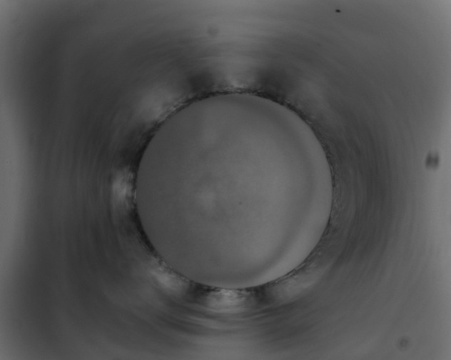 X0000102350672200808081156