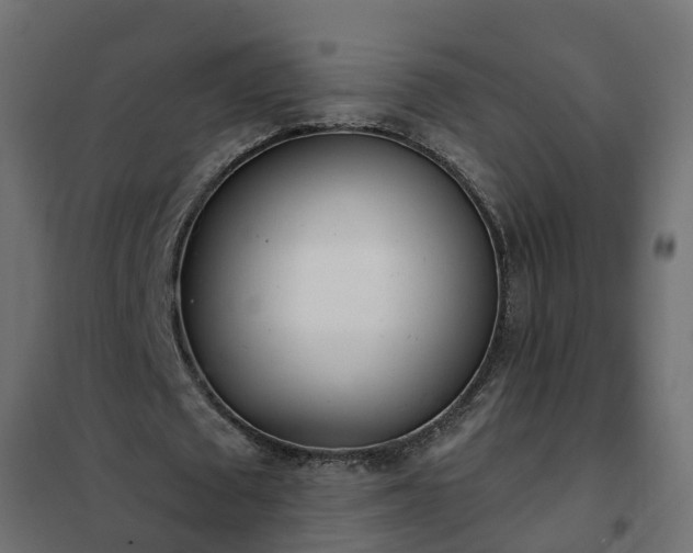 X0000102350673200808081155