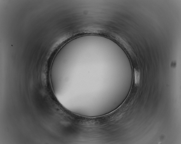 X0000102350675200808081155