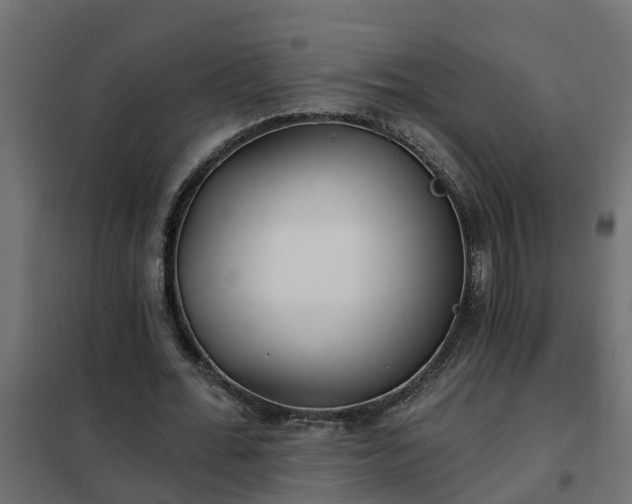 X0000102350676200808081155