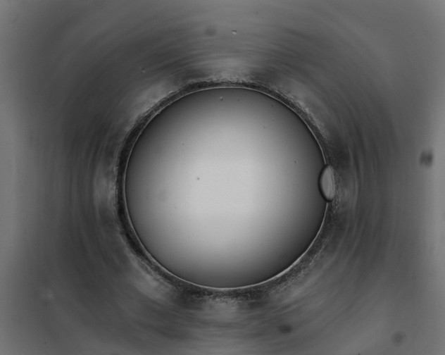 X0000102350677200808081155