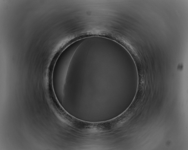 X0000102350678200808081155