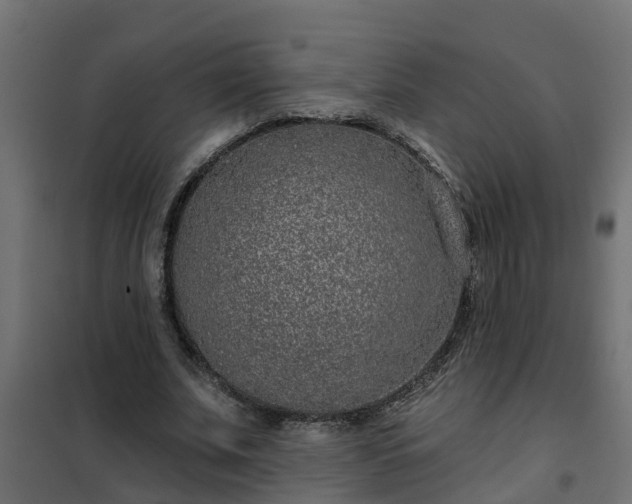 X0000102350679200808081155