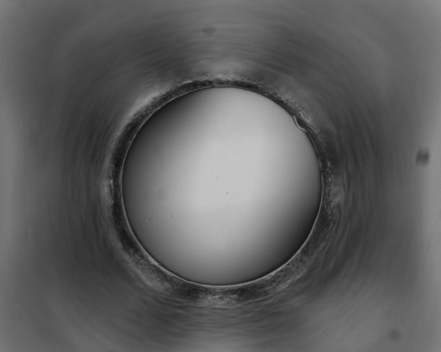 X0000102350680200808081155