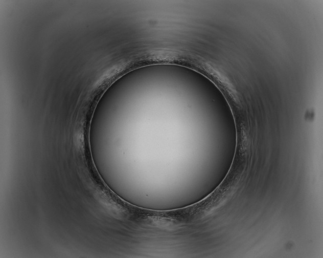 X0000102350681200808081155