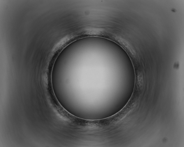 X0000102350682200808081155