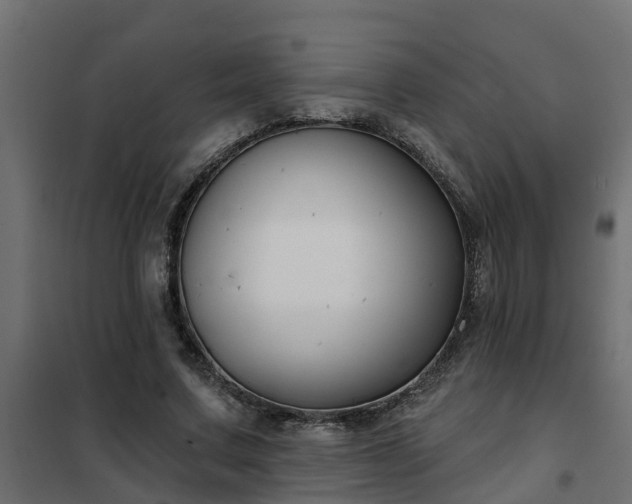 X0000102350683200808081155