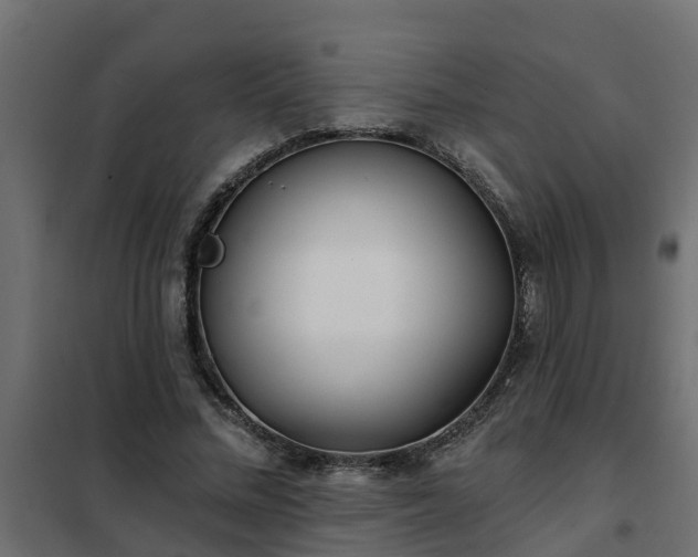 X0000102350684200808081155