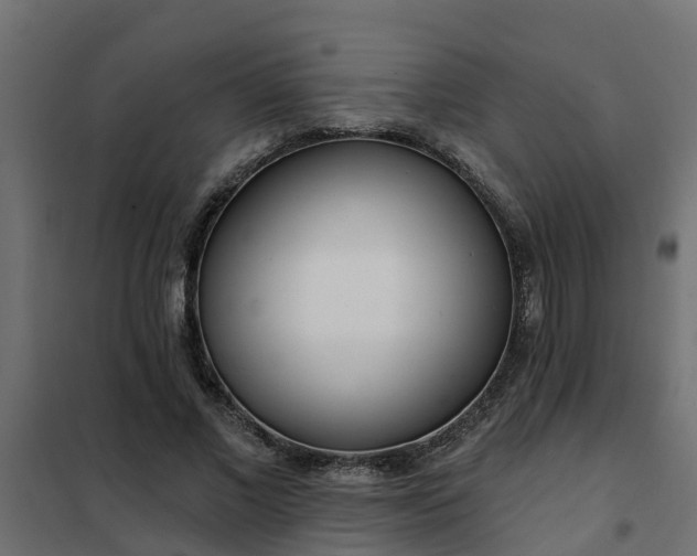 X0000102350685200808081155