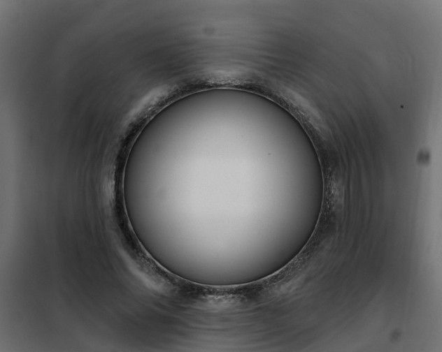 X0000102350686200808081155