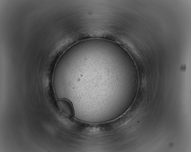 X0000102350687200808081155