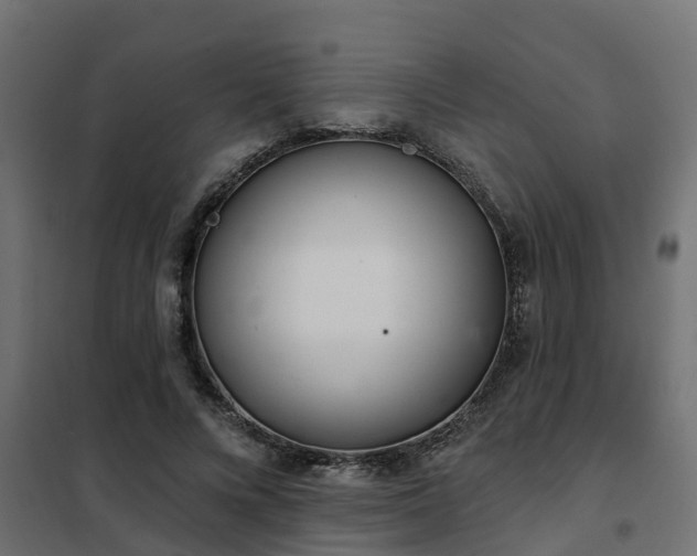 X0000102350688200808081155